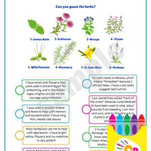 Who Am I? (Plants Edition)